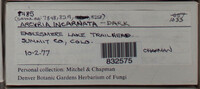 Image Associated With the Occurence